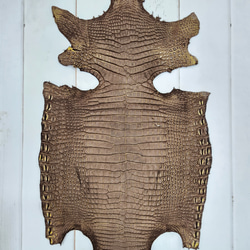 ワニ革　クロコ　ヌバック＆フレーム仕上げ　ショコラ＆シトロン　No.C009097 2枚目の画像