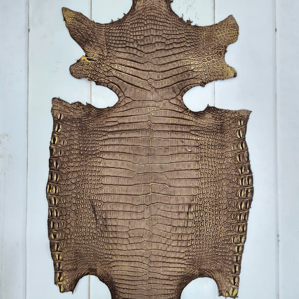 ワニ革　クロコ　ヌバック＆フレーム仕上げ　ショコラ＆シトロン　No.C009097 2枚目の画像