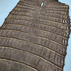 ワニ革　クロコ　ヌバック＆フレーム仕上げ　ショコラ＆シトロン　No.C009097 17枚目の画像