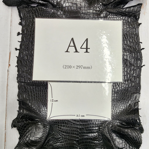 ワニ革 クロコ ナッパ仕上げ  黒 No.C009103 8枚目の画像