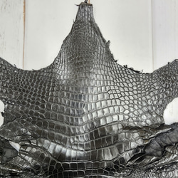 ワニ革 クロコ ナッパ仕上げ  黒 No.C009103 3枚目の画像