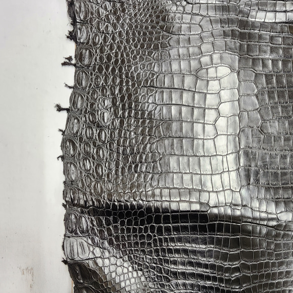 ワニ革 クロコ ナッパ仕上げ  黒 No.C009103 13枚目の画像