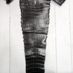 ワニ革 クロコ ナッパ仕上げ  黒 No.C009103 5枚目の画像