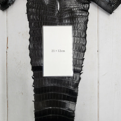 ワニ革 クロコ ナッパ仕上げ  黒 No.C009103 9枚目の画像