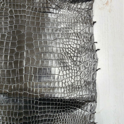 ワニ革 クロコ ナッパ仕上げ  黒 No.C009103 14枚目の画像