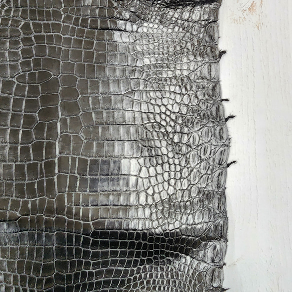 ワニ革 クロコ ナッパ仕上げ  黒 No.C009103 14枚目の画像