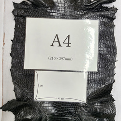 ワニ革 クロコ ナッパ仕上げ  黒 No.C009104 8枚目の画像