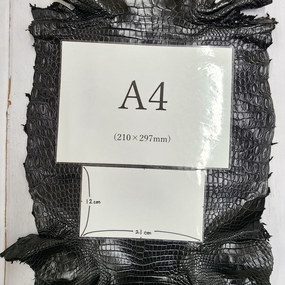 ワニ革 クロコ ナッパ仕上げ  黒 No.C009104 8枚目の画像