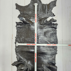 ワニ革 クロコ ナッパ仕上げ  黒 No.C009104 6枚目の画像