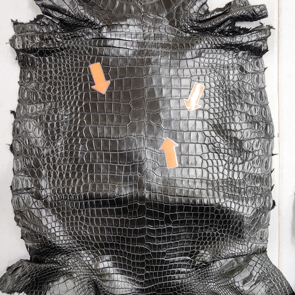 ワニ革 クロコ ナッパ仕上げ  黒 No.C009104 10枚目の画像