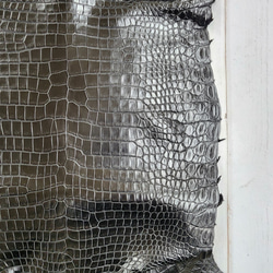 ワニ革 クロコ ナッパ仕上げ  黒 No.C009104 15枚目の画像