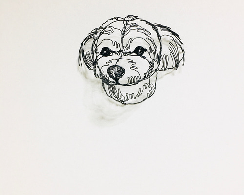 ワイヤーアート ワイヤークラフト 犬 トイプードル 立体・オブジェ