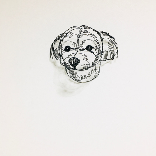 ワイヤーアート ワイヤークラフト 犬 トイプードル 立体・オブジェ