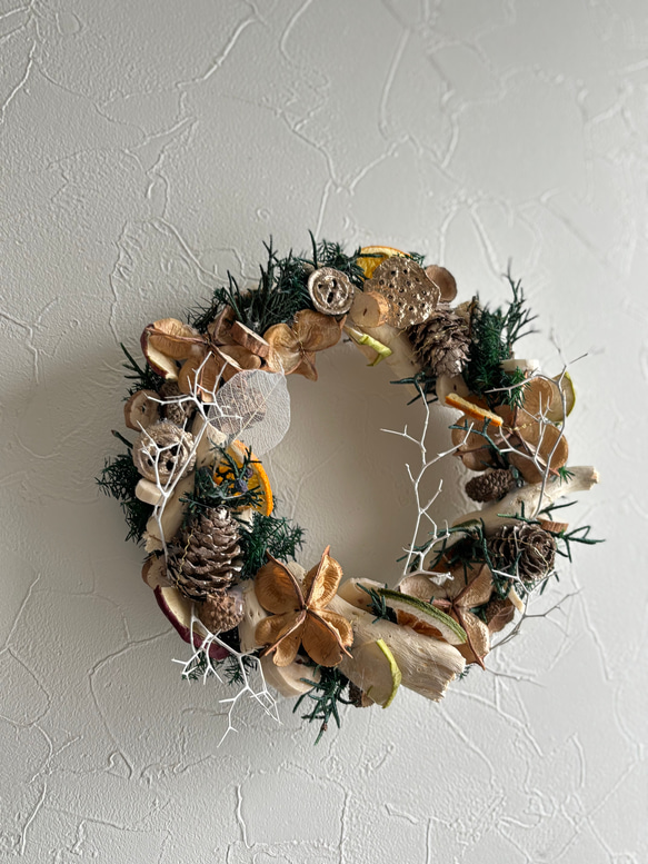 SoldOutフレッシュ20cmリース木箱もみの木木の実ドライフルーツリース SoldOutフレッシュ20cmリース木箱もみの木木の実ドライフルーツリース