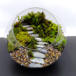ギフト専門】苔テラリウム 10cm ＜森の中の石段＞タイプ（選べる天然石