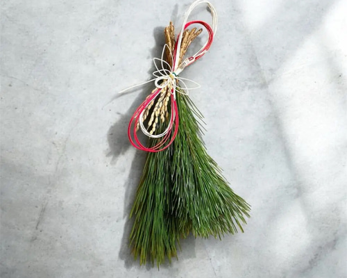 松の内まで｜即日発送【生花】天然若松の迎春スワッグ 正月飾り 玄関