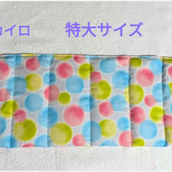 サマーポインセチア♡抜き苗 8〜20苗くらい 多肉植物 黄色いスコップ