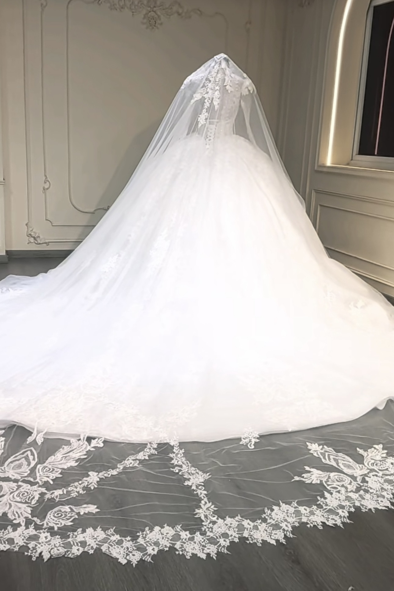 エレガント　純粋な美しさ　vネック　ベール付き　裾に優雅なレース付き　長袖　背中見せ　ふわふわチュール　白　前撮りお呼ば