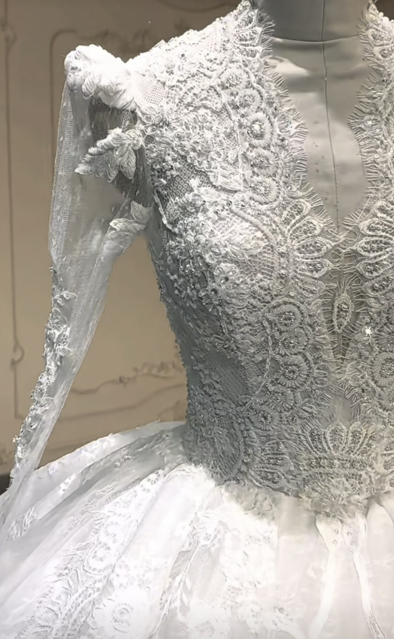 エレガント　純粋な美しさ　vネック　ベール付き　裾に優雅なレース付き　長袖　背中見せ　ふわふわチュール　白　前撮りお呼ば