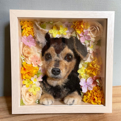 箱入り娘・息子✳︎ 羊毛 わんちゃん 羊毛フェルト CHIKAMOCO