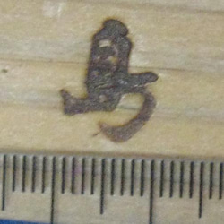 島　一文字漢字焼印 2枚目の画像