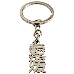 愛媛 切り文字ネームタグ 漢字形状透かし彫り銀色ステンレス製キーホルダー 丸環式・縦型シンプル・外枠無・ゴシック体 セミ 1枚目の画像