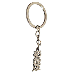 愛媛 切り文字ネームタグ 漢字形状透かし彫り銀色ステンレス製キーホルダー 丸環式・縦型シンプル・外枠無・ゴシック体 セミ 3枚目の画像