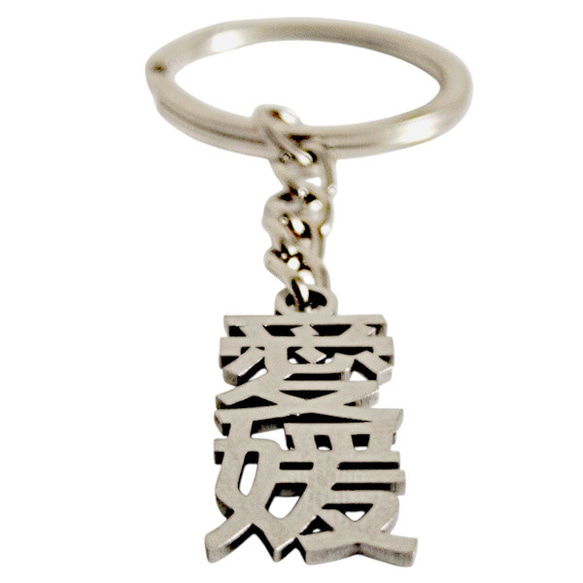 愛媛 切り文字ネームタグ 漢字形状透かし彫り銀色ステンレス製キーホルダー 丸環式・縦型シンプル・外枠無・ゴシック体 セミ 4枚目の画像