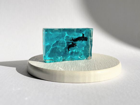 ジンベイザメの（コバルトブルー濃い）オブジェ / レジン / インテリア / 置物 / 夏 / 海 2枚目の画像