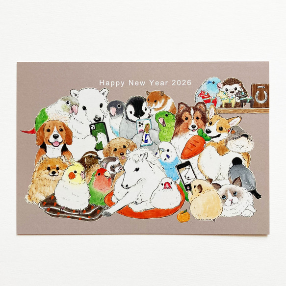 【５枚セット】2026年賀状 撮影会 1枚目の画像