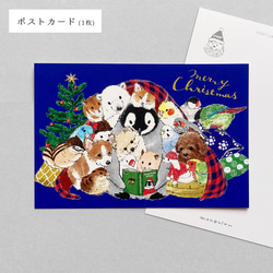 クリスマス☆もふもふミニギフトBOX 9枚目の画像