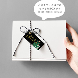 クリスマス☆もふもふミニギフトBOX 10枚目の画像