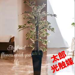 光触媒 人工観葉植物 ウォールグリーン フェイクグリーン