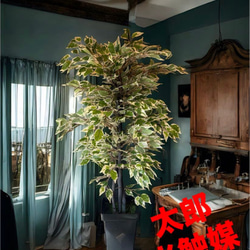 光触媒 人工観葉植物 ウォールグリーン フェイクグリーン ユーカリ高さ