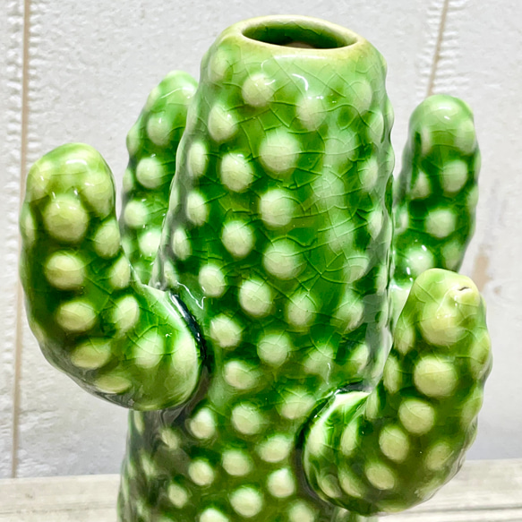 サボテン花瓶 グリーン セラミック フラワーベース SERAXベルギーデザイン 10枚目の画像