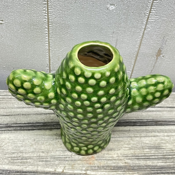 サボテン花瓶 グリーン セラミック フラワーベース SERAXベルギーデザイン 7枚目の画像