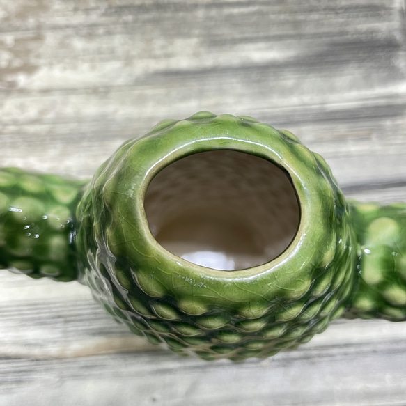 サボテン花瓶 グリーン セラミック フラワーベース SERAXベルギーデザイン 6枚目の画像
