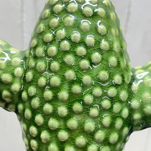 サボテン花瓶 グリーン セラミック フラワーベース SERAXベルギーデザイン 5枚目の画像