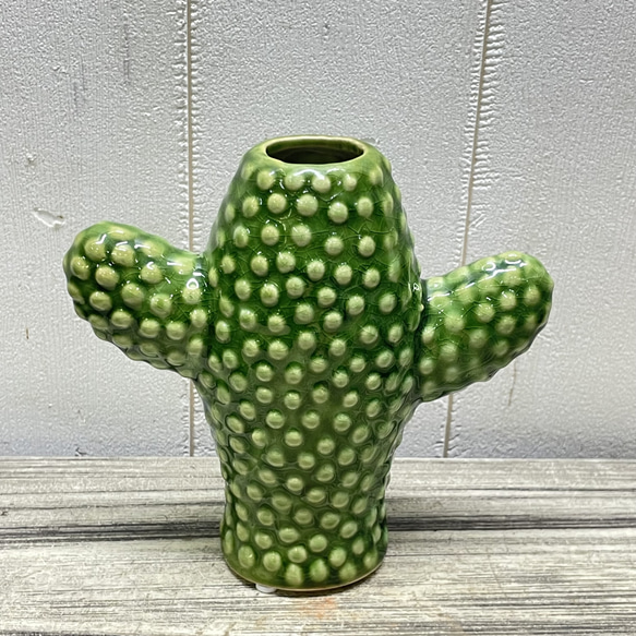 サボテン花瓶 グリーン セラミック フラワーベース SERAXベルギーデザイン 1枚目の画像