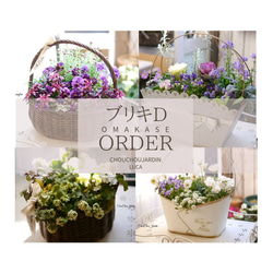 フリルパンジーとローダンセマムの寄せ植えバスケット 盆栽