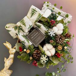 感謝価格＊オーガニックユーカリポポラスのお部屋に馴染むナチュラル