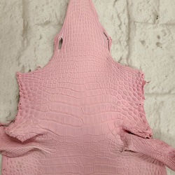 ワニ革  素マット モルガナイトピンク　「長財布向け」サイズ No.CM0185 3枚目の画像