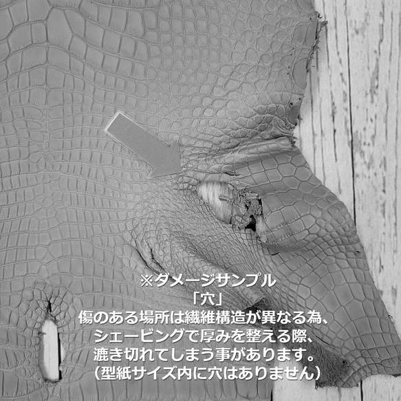 ワニ革  素マット モルガナイトピンク　「長財布向け」サイズ No.CM0185 12枚目の画像