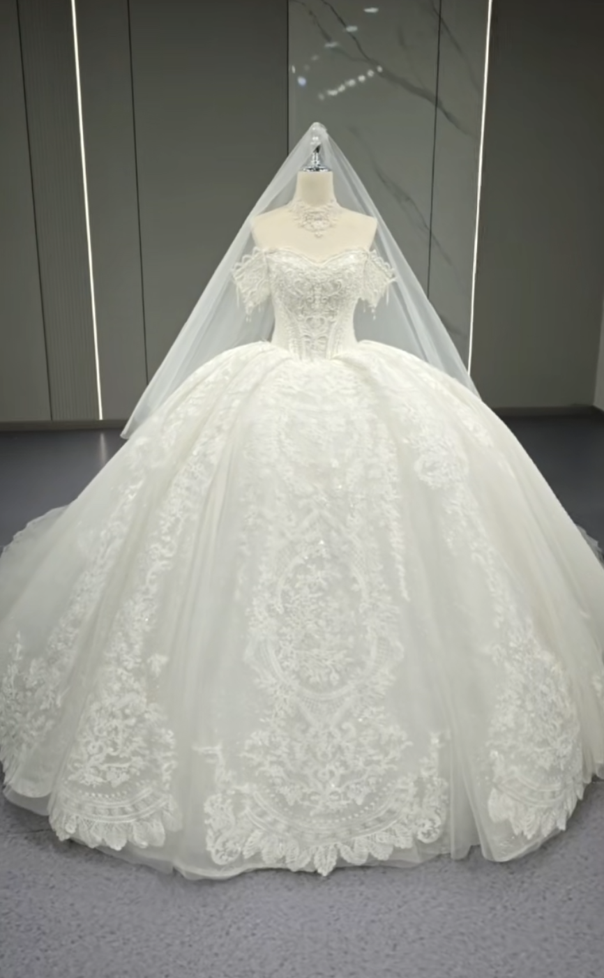 お姫様　純粋な美しさ　裾引きにレース付き　オフショルダー　二の腕を隠せる　フランスレース優雅なウェディングドレス前撮り