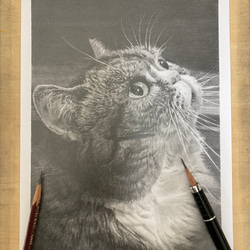 オーダーメイド サンプル 犬の絵 鉛筆画 絵画 ENPITSUYA 通販 16195387