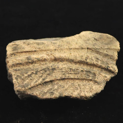 北海道 日高翡翠 ヒスイ 原石 188g 【榎本通商79421】 天然石