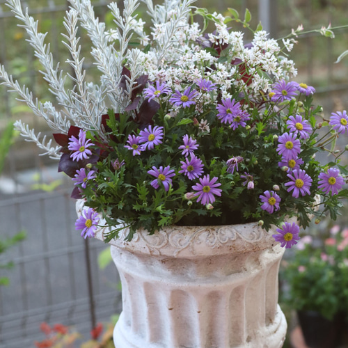 ☆安心匿名発送☆専用 Creemaあんしん匿名便