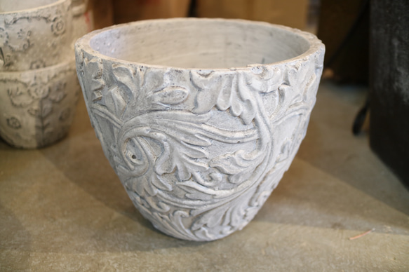 現物 １点のみ　実付き♡ すだちの木　　 5枚目の画像