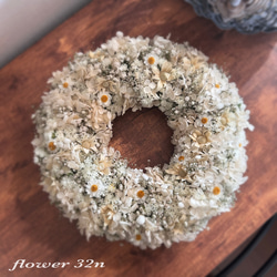 3個セット ポポラスユーカリのミルフィーユリース リース flower32n