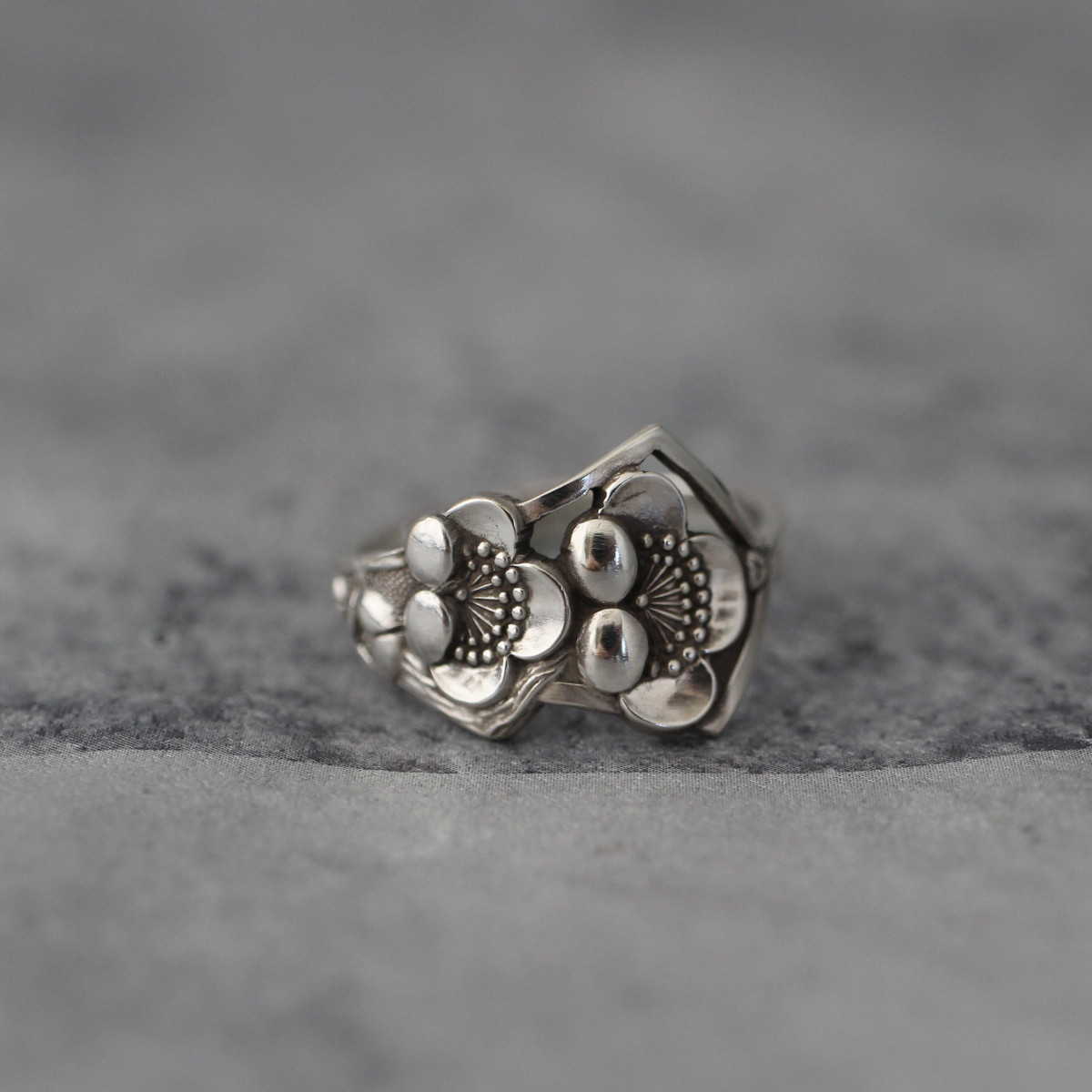 寒い冬を開けて花を咲かせる梅の花